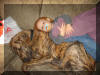 Fawn & Brindle Great Dane Puppies for sale Marshfield, Missouri 65706 USA