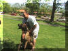 Brindle Great Dane Tiger laughs at the World