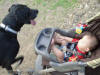 RJ Loves Daphne as she is so sweet and wonderful! Daphne Black Great Dane Breeder Marshfield, Missouri 65706 U.S.A.