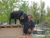 Daphne & Romeo approve of my effort for them.